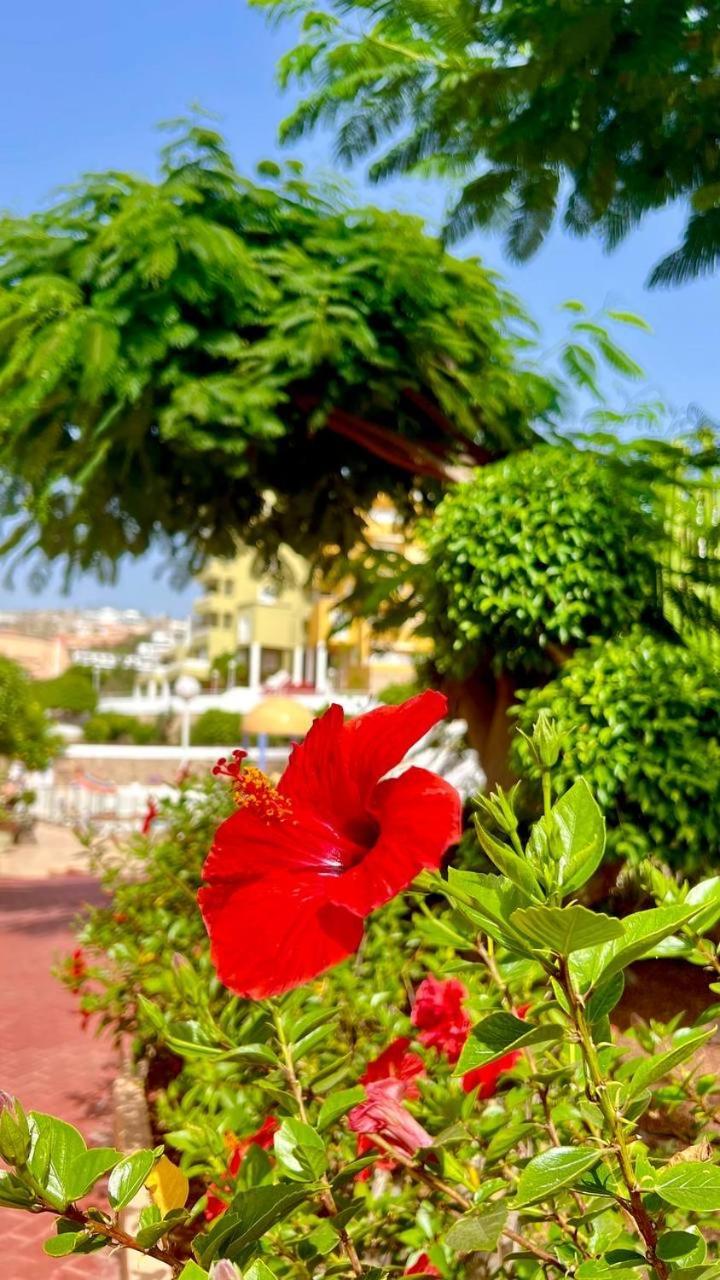 Cozy Two Bed Apartment. Costa Adeje Dış mekan fotoğraf
